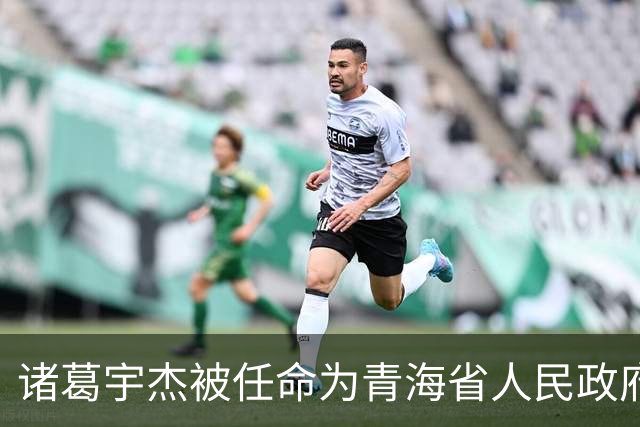 诸葛宇杰被任命为青海省人民政府代理省长